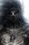 Severard