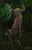 Ritsa Cacklewitch