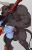 Minotaur